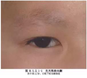 ���������ڷ�������