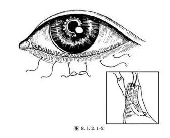 ���������ڷ�������