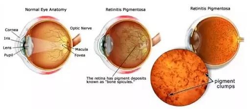 ţ���ۿ�ר�����»����Ʒ��������Ŵ���ʧ�����ߵ�����