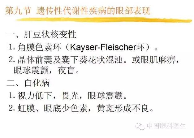 PPT��⣺ȫ���������۲�����