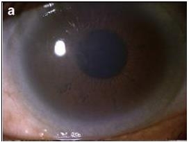 �����������裺�����ۺ������Ĥ����