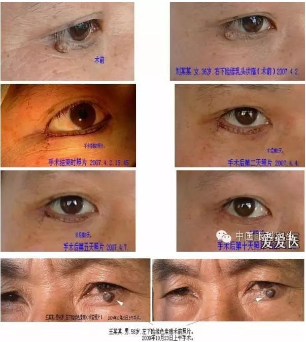 �ۿ�ר���ֻ�������Ե���������������������󣬿���ղط�����