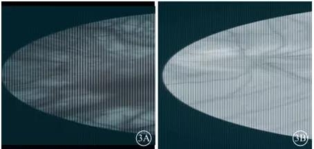 ����������Ƥ���׻����ϲ���Դ������Ĥ����һ��