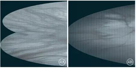 ����������Ƥ���׻����ϲ���Դ������Ĥ����һ��