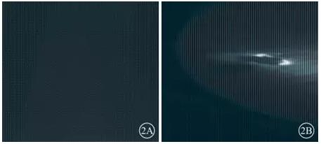 ����������Ƥ���׻����ϲ���Դ������Ĥ����һ��