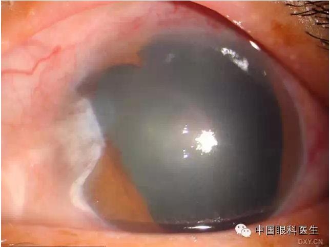 ��ͬ�ۿƼ�������ǰ����Ƭ