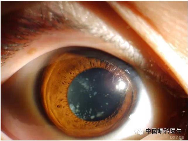 ��ͬ�ۿƼ�������ǰ����Ƭ