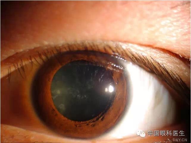 ��ͬ�ۿƼ�������ǰ����Ƭ