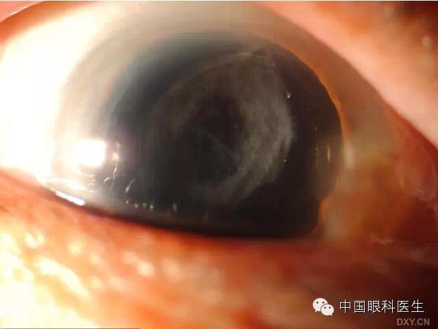 ��ͬ�ۿƼ�������ǰ����Ƭ