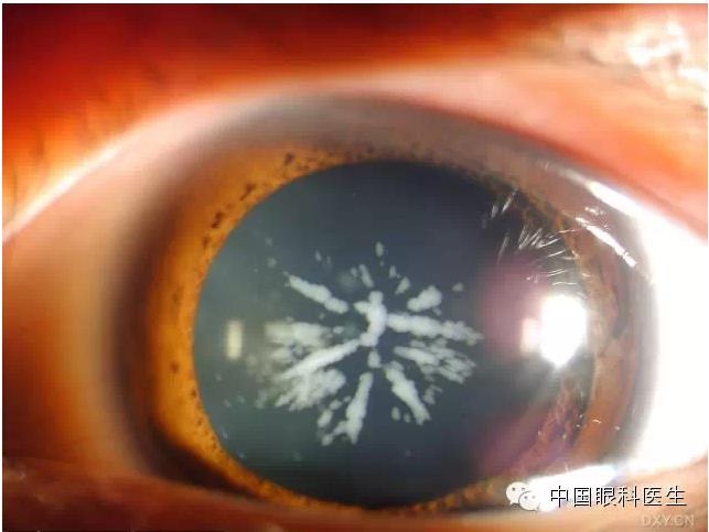 ��ͬ�ۿƼ�������ǰ����Ƭ