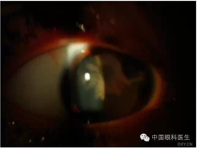 ��ͬ�ۿƼ�������ǰ����Ƭ