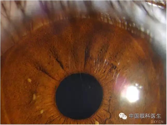 ��ͬ�ۿƼ�������ǰ����Ƭ