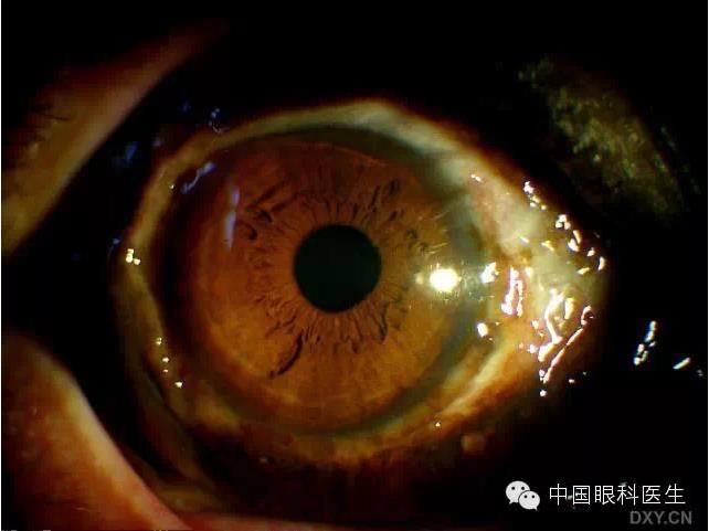 ��ͬ�ۿƼ�������ǰ����Ƭ