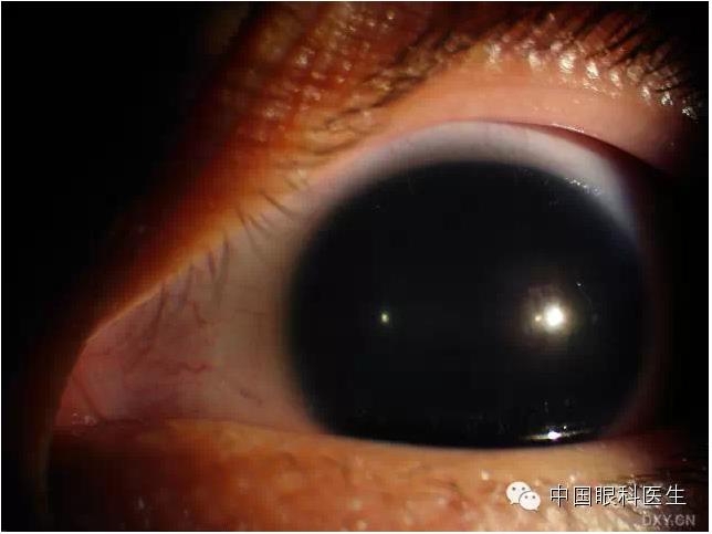 ��ͬ�ۿƼ�������ǰ����Ƭ