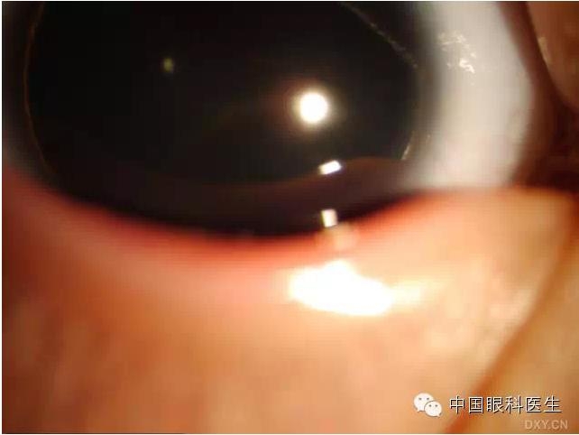 ��ͬ�ۿƼ�������ǰ����Ƭ