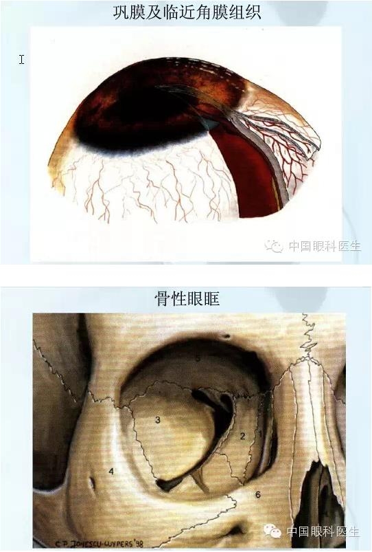 �ۿƿμ�����ͼ�ף��ղأ�ת�裬PPT��ȱͼ��