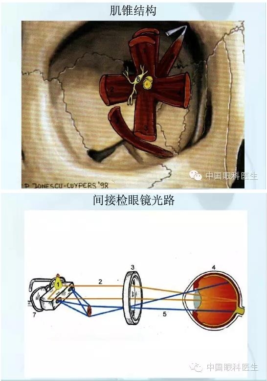 �ۿƿμ�����ͼ�ף��ղأ�ת�裬PPT��ȱͼ��