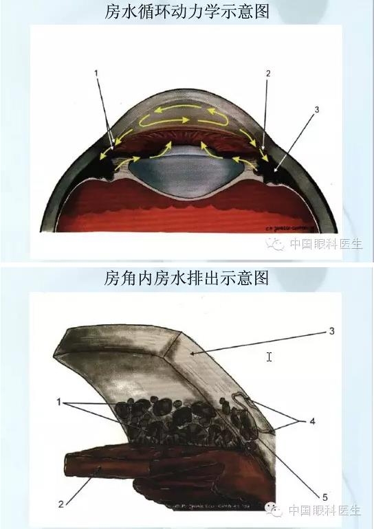 �ۿƿμ�����ͼ�ף��ղأ�ת�裬PPT��ȱͼ��