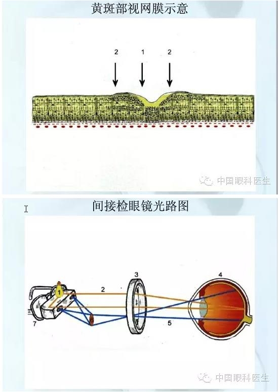 �ۿƿμ�����ͼ�ף��ղأ�ת�裬PPT��ȱͼ��