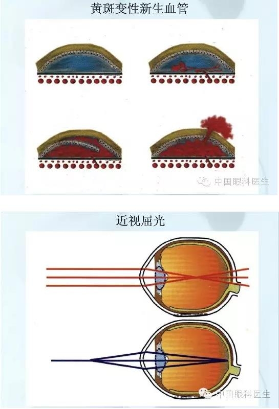 �ۿƿμ�����ͼ�ף��ղأ�ת�裬PPT��ȱͼ��