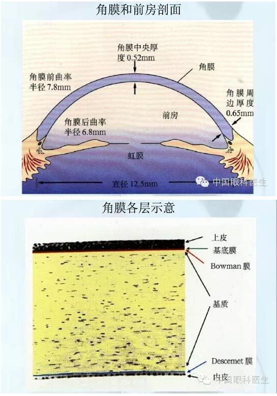 �ۿƿμ�����ͼ�ף��ղأ�ת�裬PPT��ȱͼ��