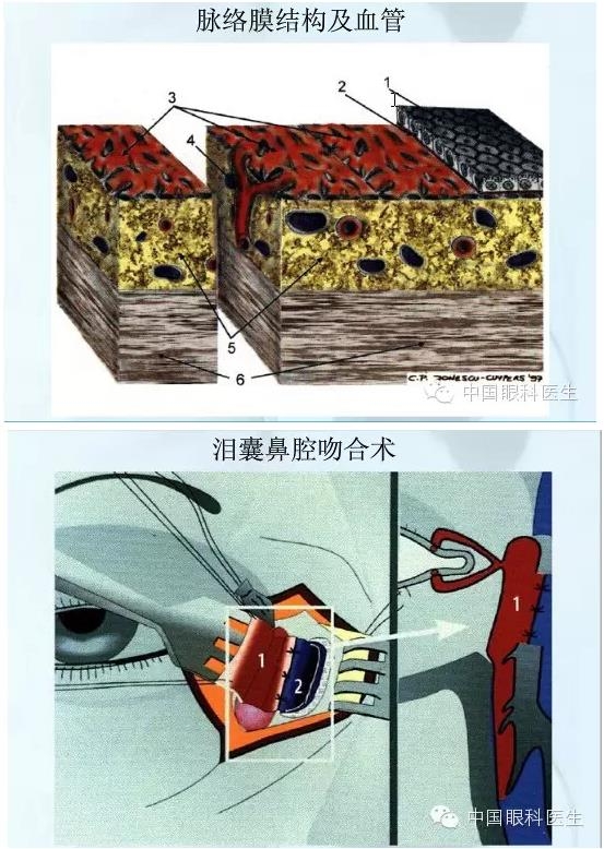 �ۿƿμ�����ͼ�ף��ղأ�ת�裬PPT��ȱͼ��