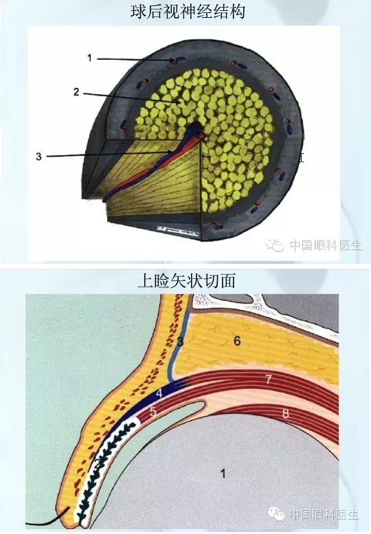 �ۿƿμ�����ͼ�ף��ղأ�ת�裬PPT��ȱͼ��