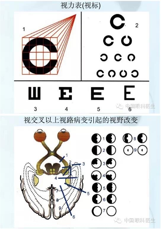 �ۿƿμ�����ͼ�ף��ղأ�ת�裬PPT��ȱͼ��