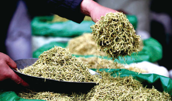 һ��ҩ����Ҫ����ҽ�Ʊ��գ���Ϊ���һ���ҩ�����Ҫ����û�С����ݡ�����ν�����ݡ���������û�б�ҩ��¼�롣 ����ͼƬ CFP