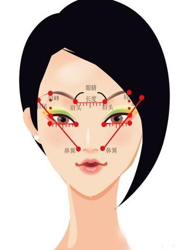 mm,以眼的宽度分成5个等份;1,眼睛的上下高度:从眼头到眼梢的宽度=1:3