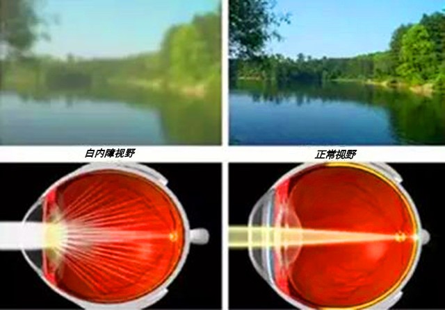 亲爱的老师节日快乐