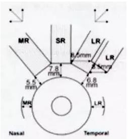 ����˫��ת����԰���� һ ˲Ŀ�ۺ���һ��