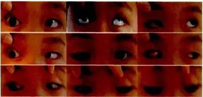 ����˫��ת����԰���� һ ˲Ŀ�ۺ���һ��