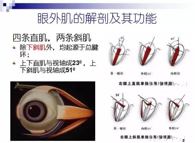 б�������ӵĻ���֪ʶ