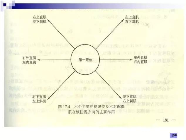 б�������ӵĻ���֪ʶ