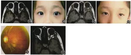 ��������٤�����������񾭽���������