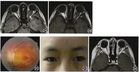 ��������٤�����������񾭽���������