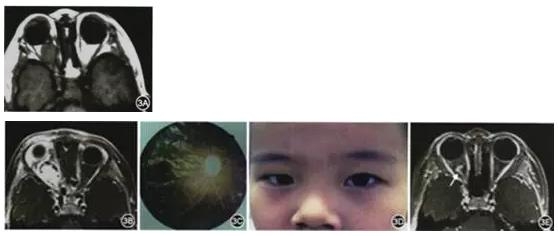 ��������٤�����������񾭽���������