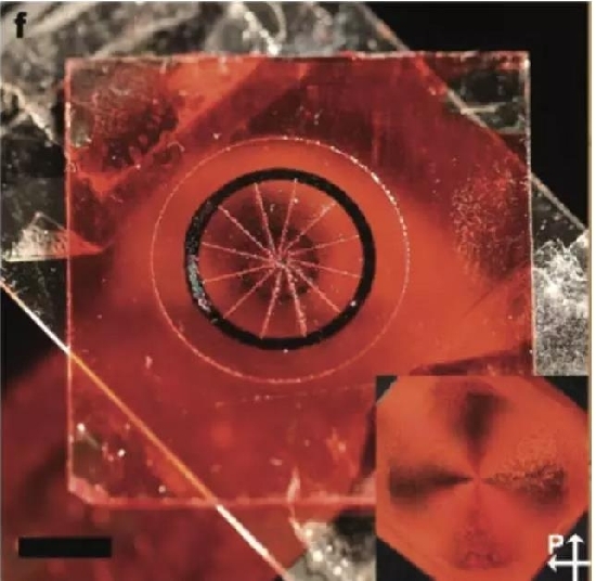 ȫ�����������������Ĥʵ�ֹ���������ڣ���ȫģ���������۾�ͫ��