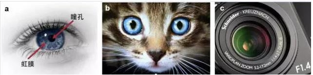 ȫ�����������������Ĥʵ�ֹ���������ڣ���ȫģ���������۾�ͫ��