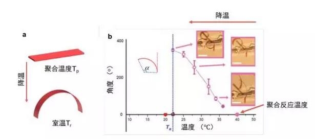 ȫ�����������������Ĥʵ�ֹ���������ڣ���ȫģ���������۾�ͫ��