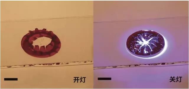 ȫ�����������������Ĥʵ�ֹ���������ڣ���ȫģ���������۾�ͫ��