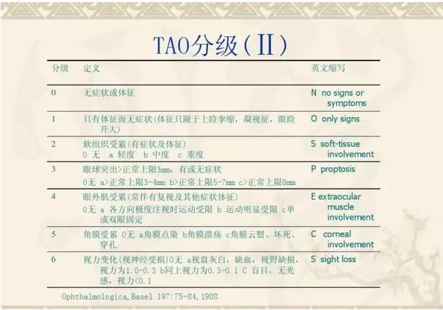 PPT��⣺��״��������۲�