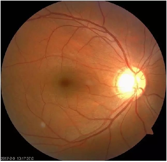 �����������۵ײ���ͼƬ