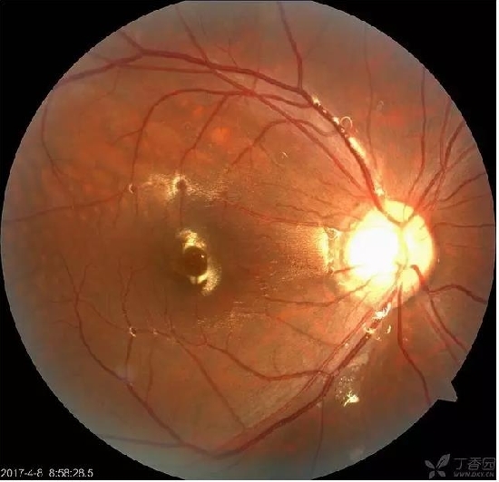 �����������۵ײ���ͼƬ