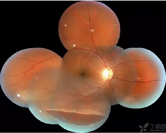 �����������۵ײ���ͼƬ