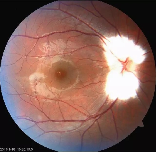 �����������۵ײ���ͼƬ