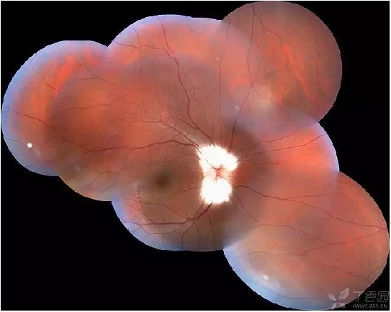 �����������۵ײ���ͼƬ