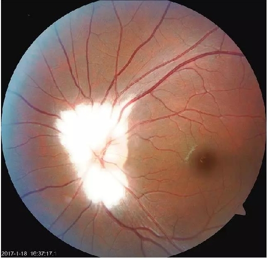 �����������۵ײ���ͼƬ