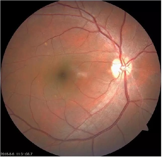 �����������۵ײ���ͼƬ